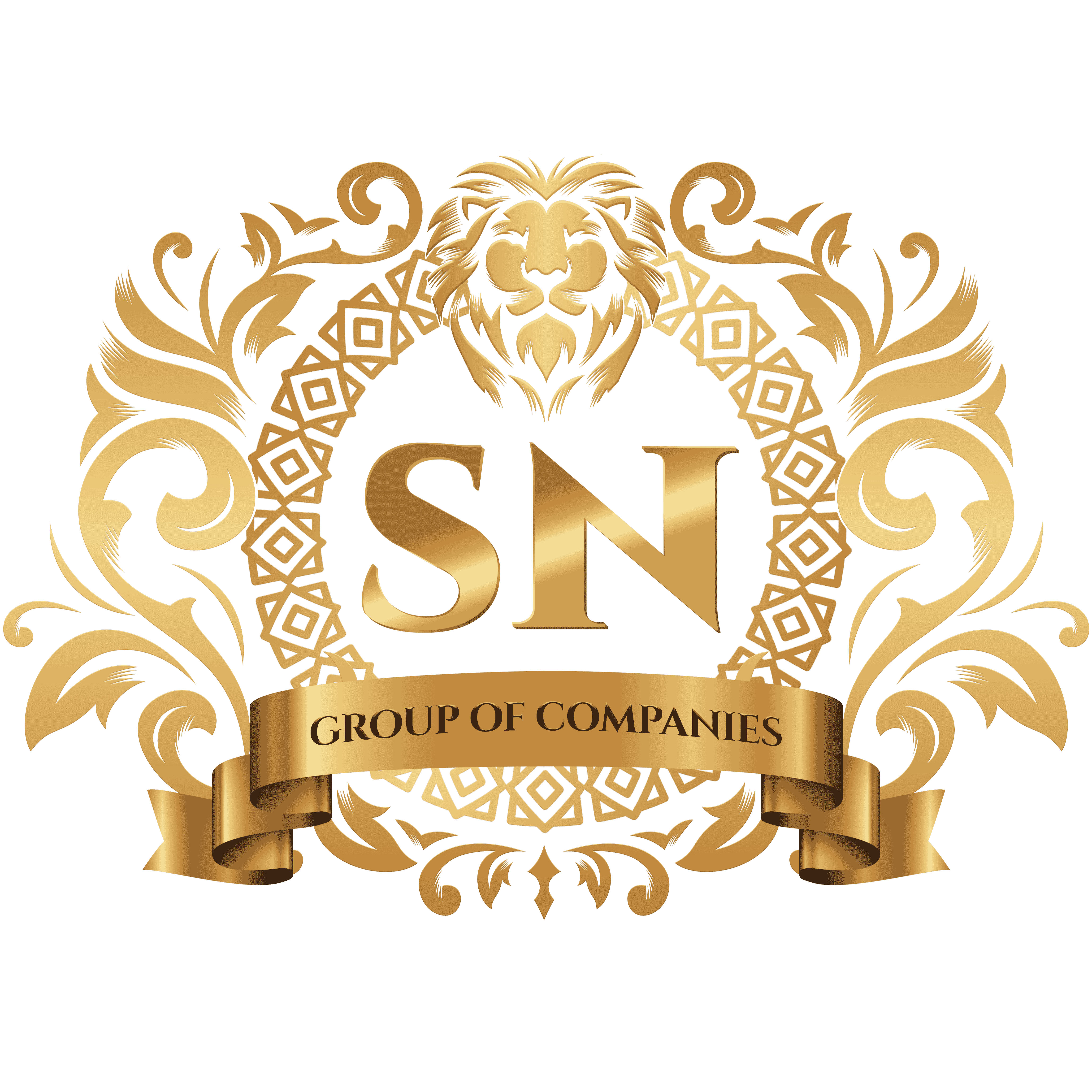 SN Group Logo